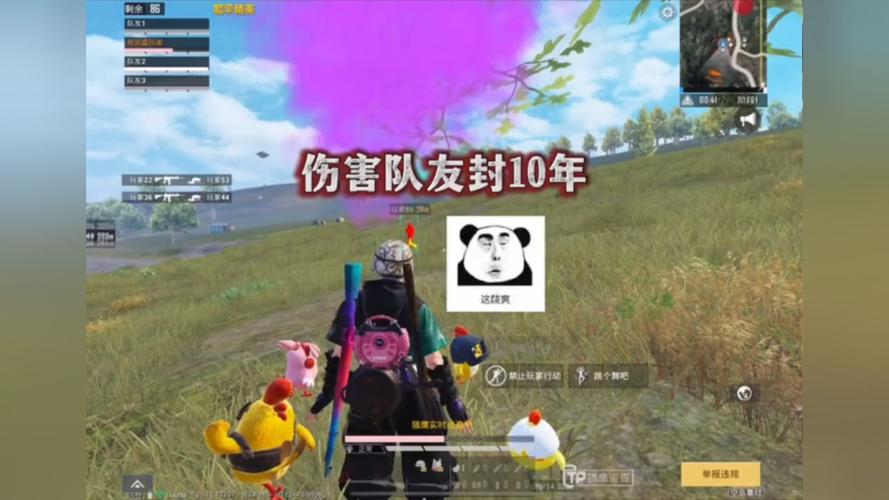 和平精英「战神w」辅助